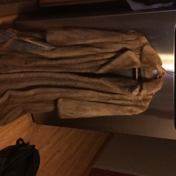 Mink Coat - Picture 1 of 3